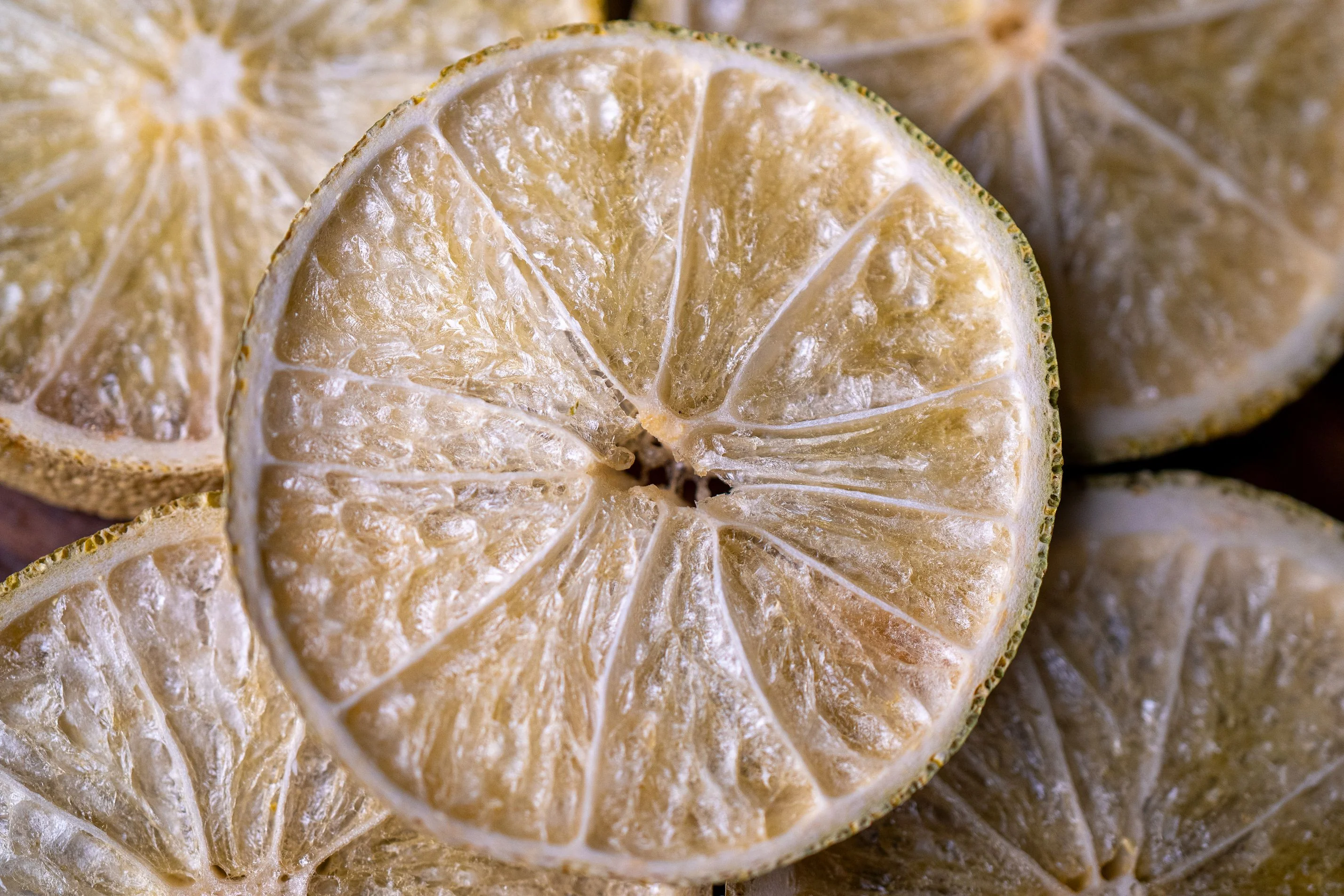 Frona Dried Lime Cocktail Garnish - Image 3