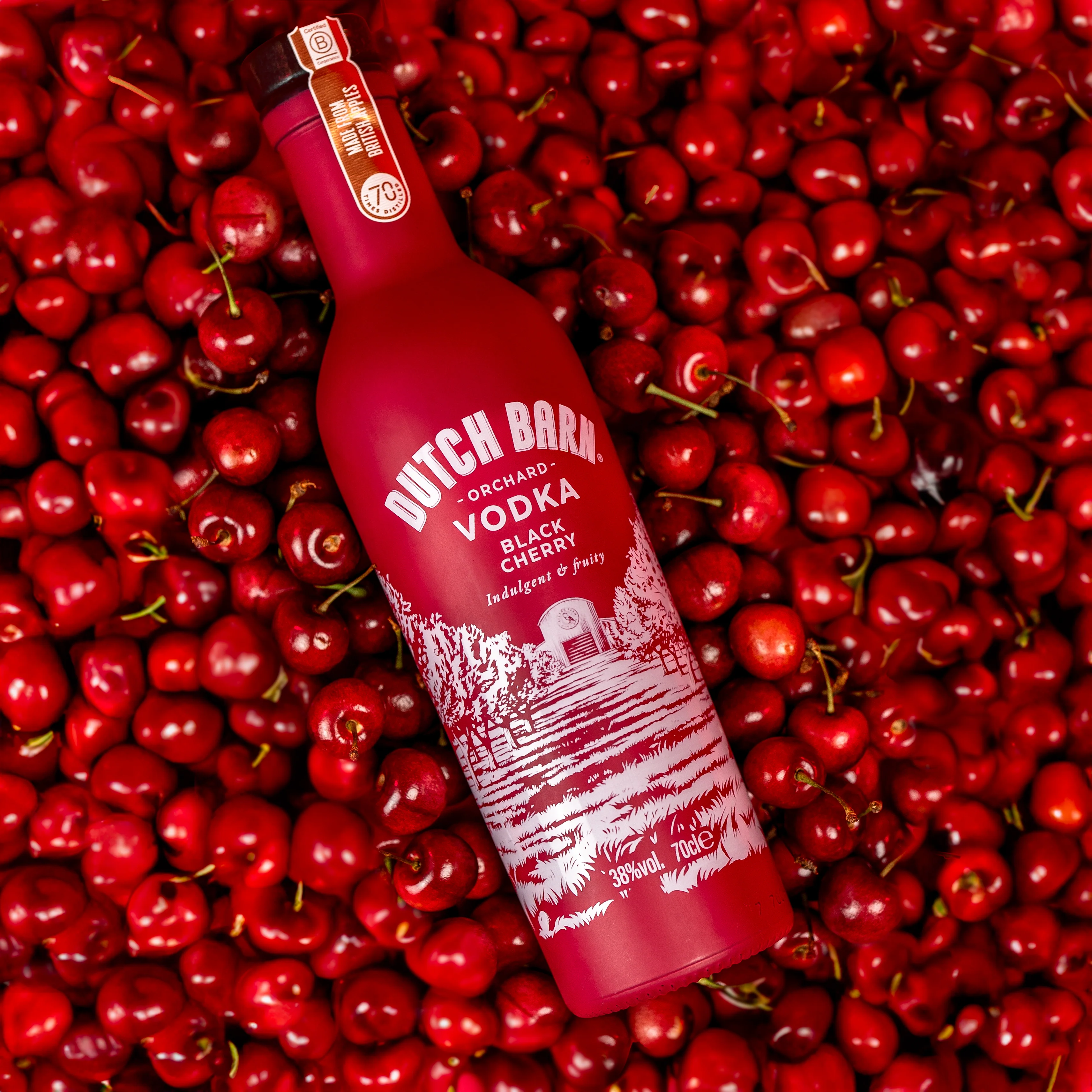 Full Range: Dutch Barn Vodka, Ginger, Raspberry, Cherry, Vanilla & Citrus - Image 5