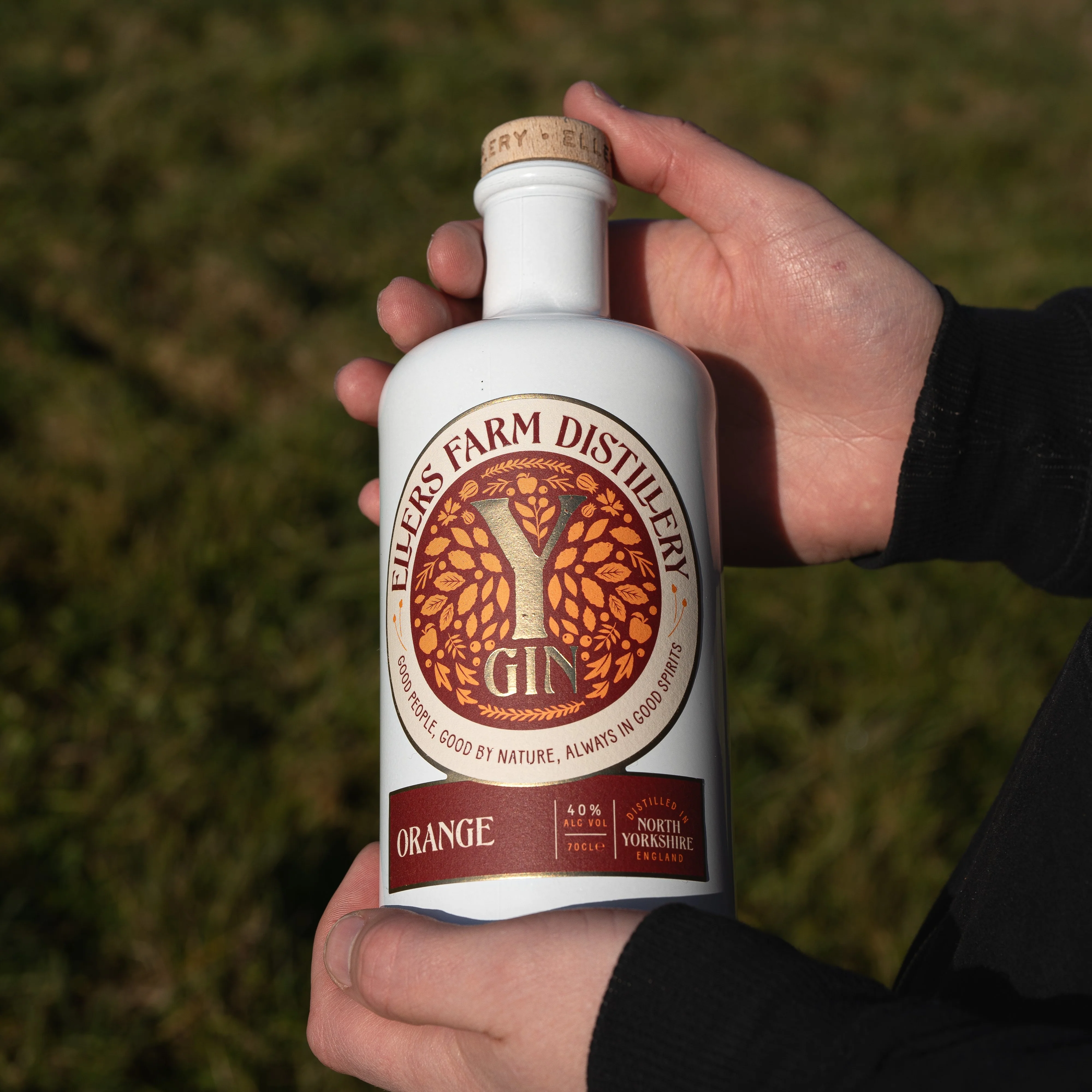 Y-Gin Orange - Image 4